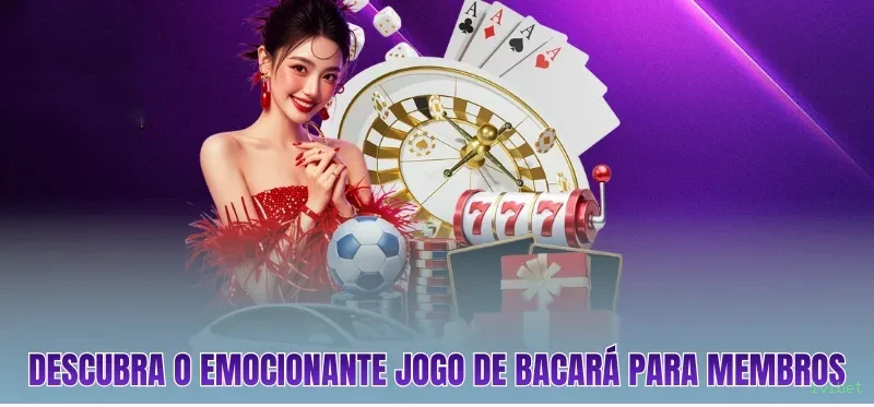 Programa VIP ivibet - benefícios exclusivos